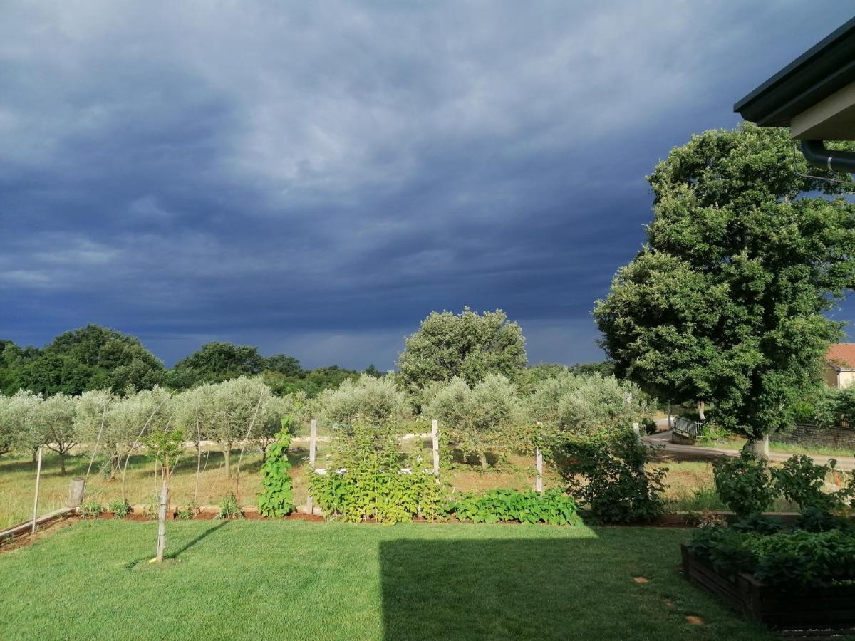 Ferienresidenz Lavandula Nova Vas  Bagian luar foto
